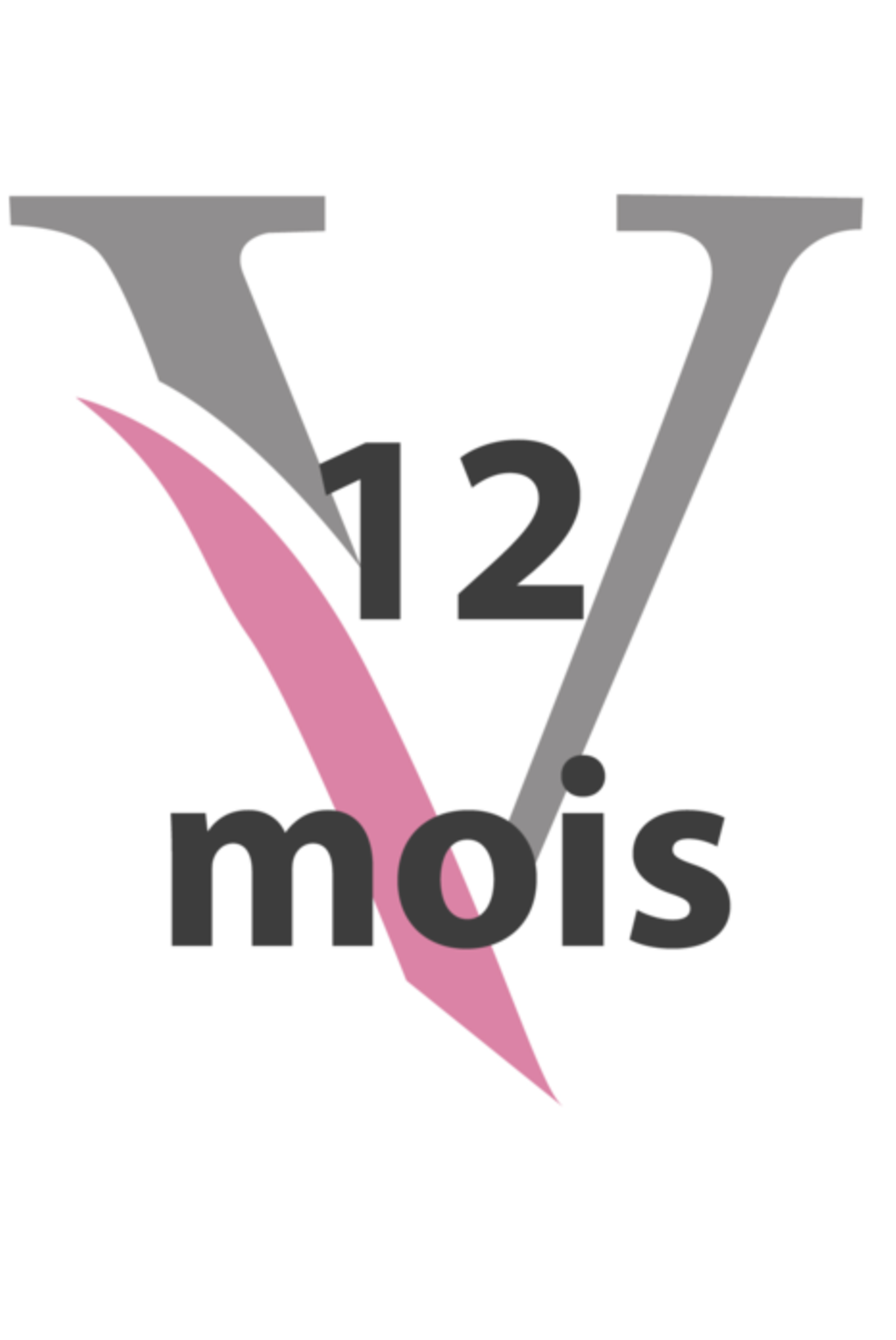 Abonnement 12 mois