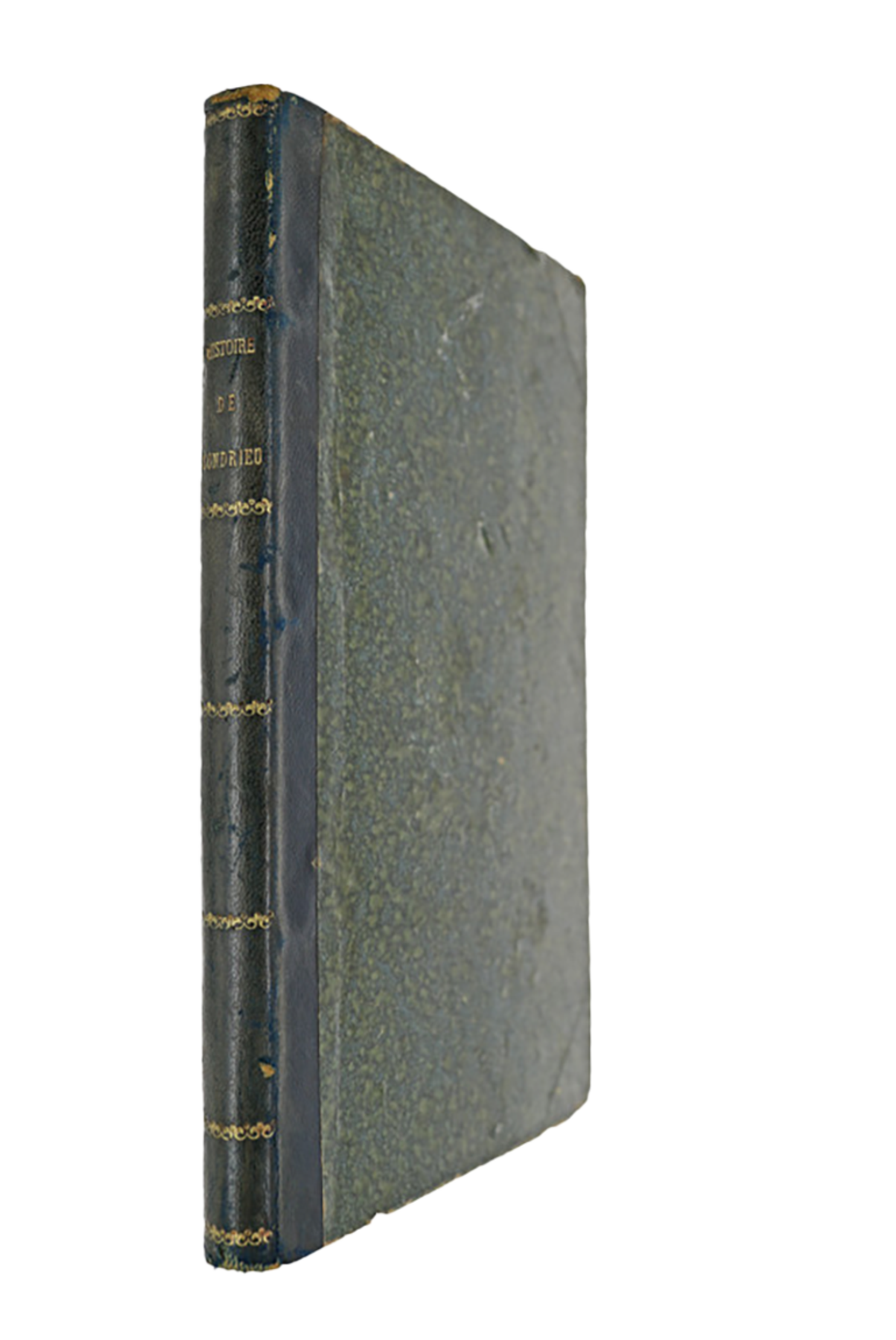 Histoire de Condrieu et de ses environs depuis l'an 59 avant J.-C. jusqu'à notre époque - 1850
