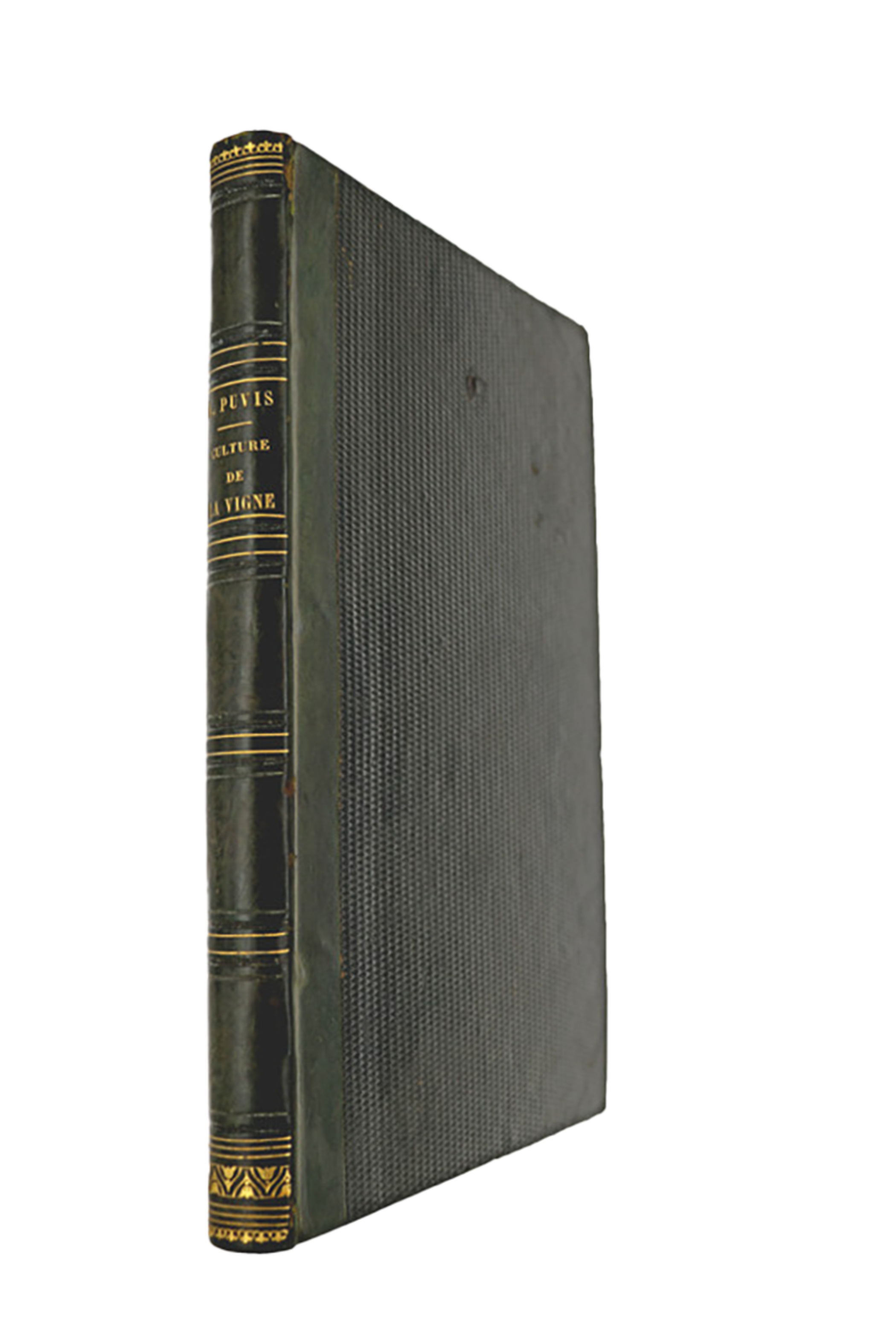 De la culture de la vigne et de la fabrication du vin - 1848