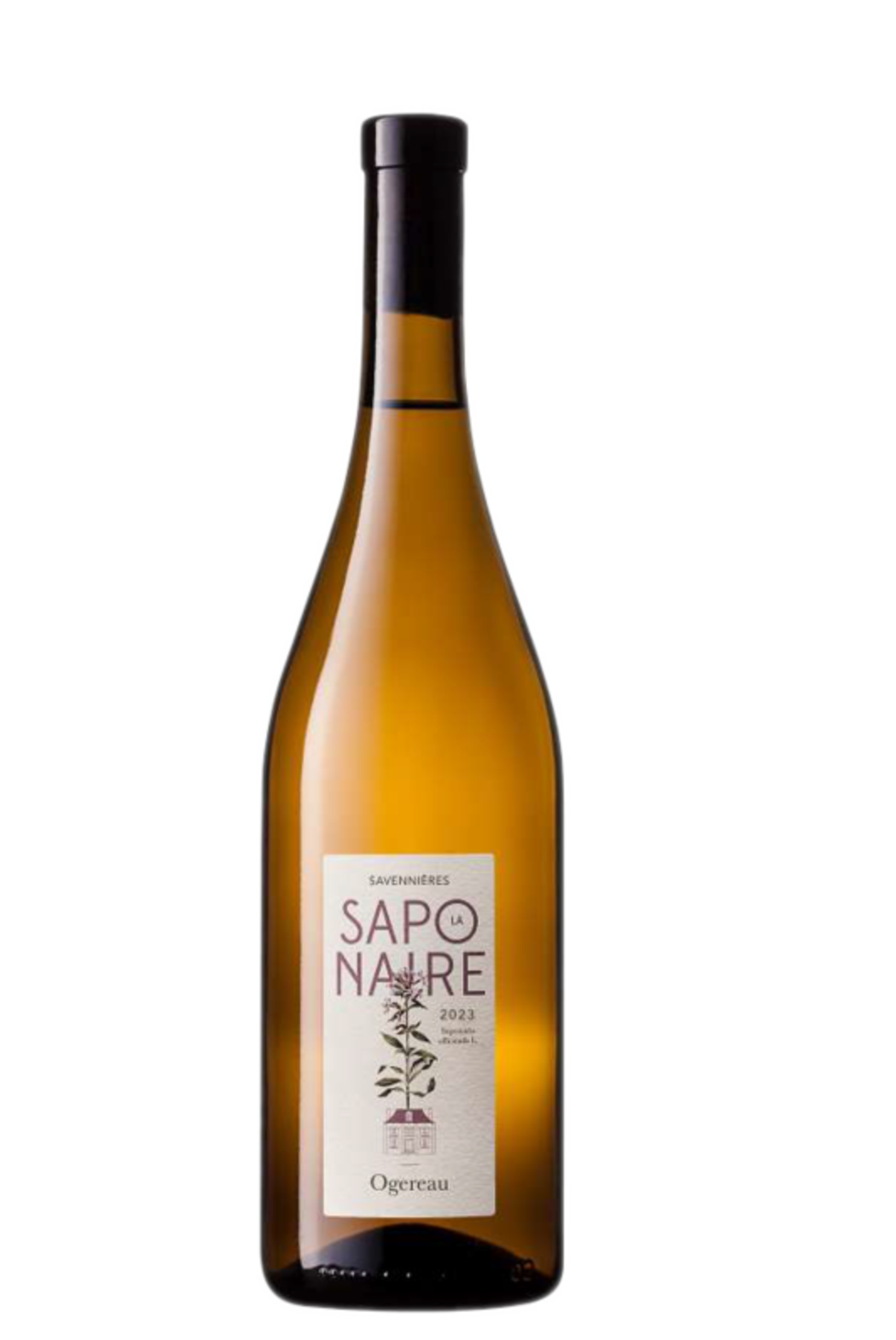 SAVENNIERES Domaine Ogereau
