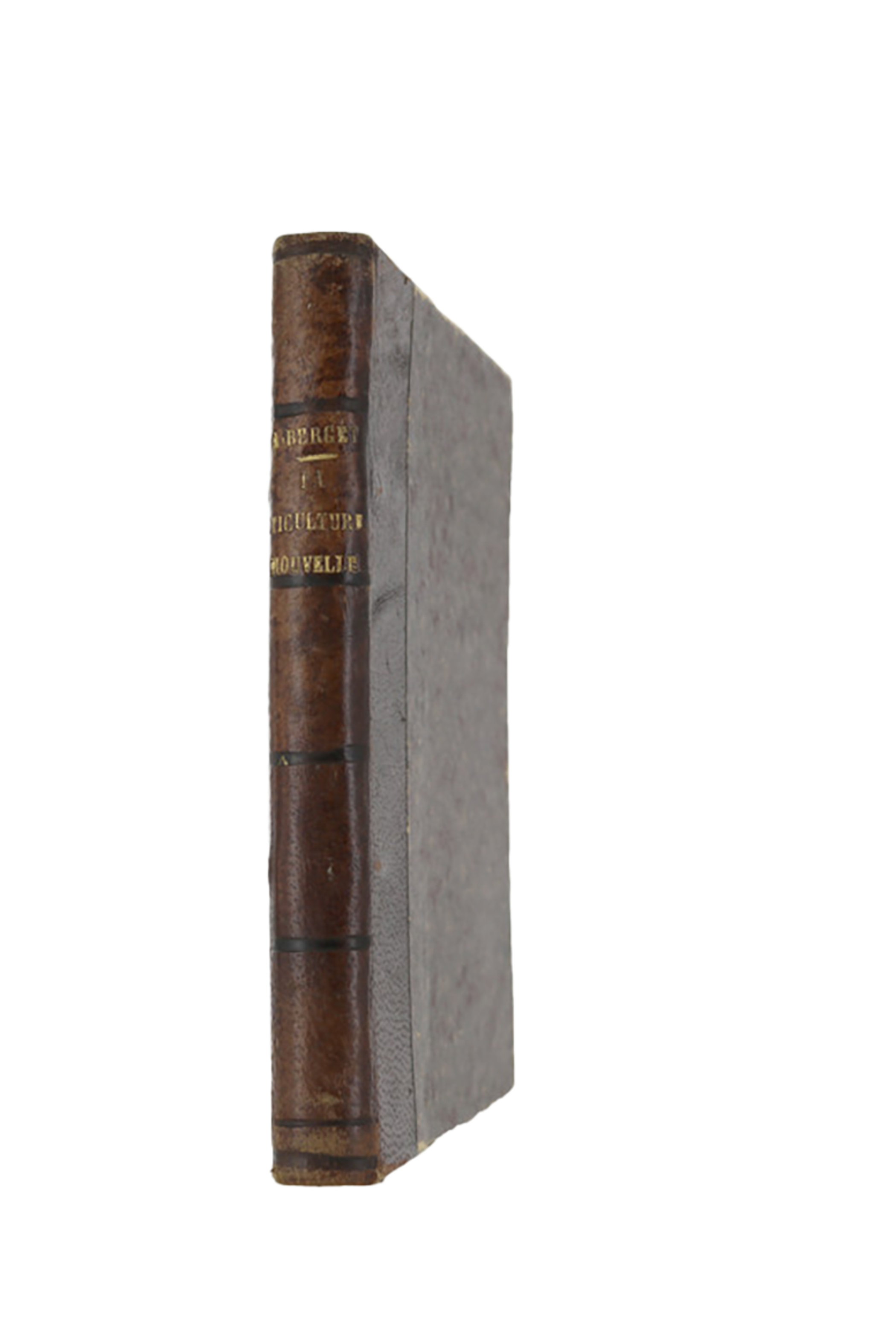 La Viticulture nouvelle - 1896