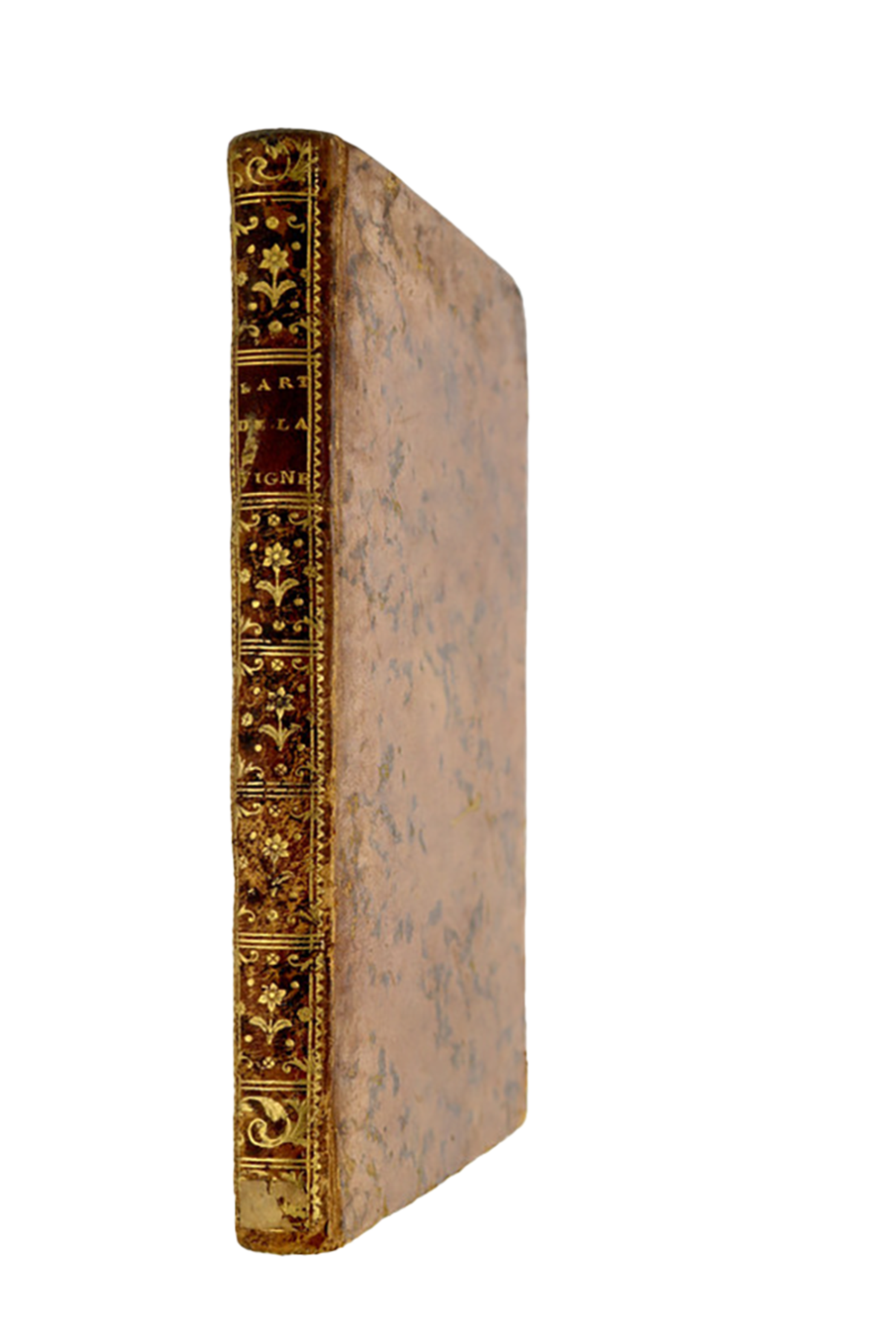 L'Art de la vigne, contenant une nouvelle méthode économique de cultiver la Vigne - 1779