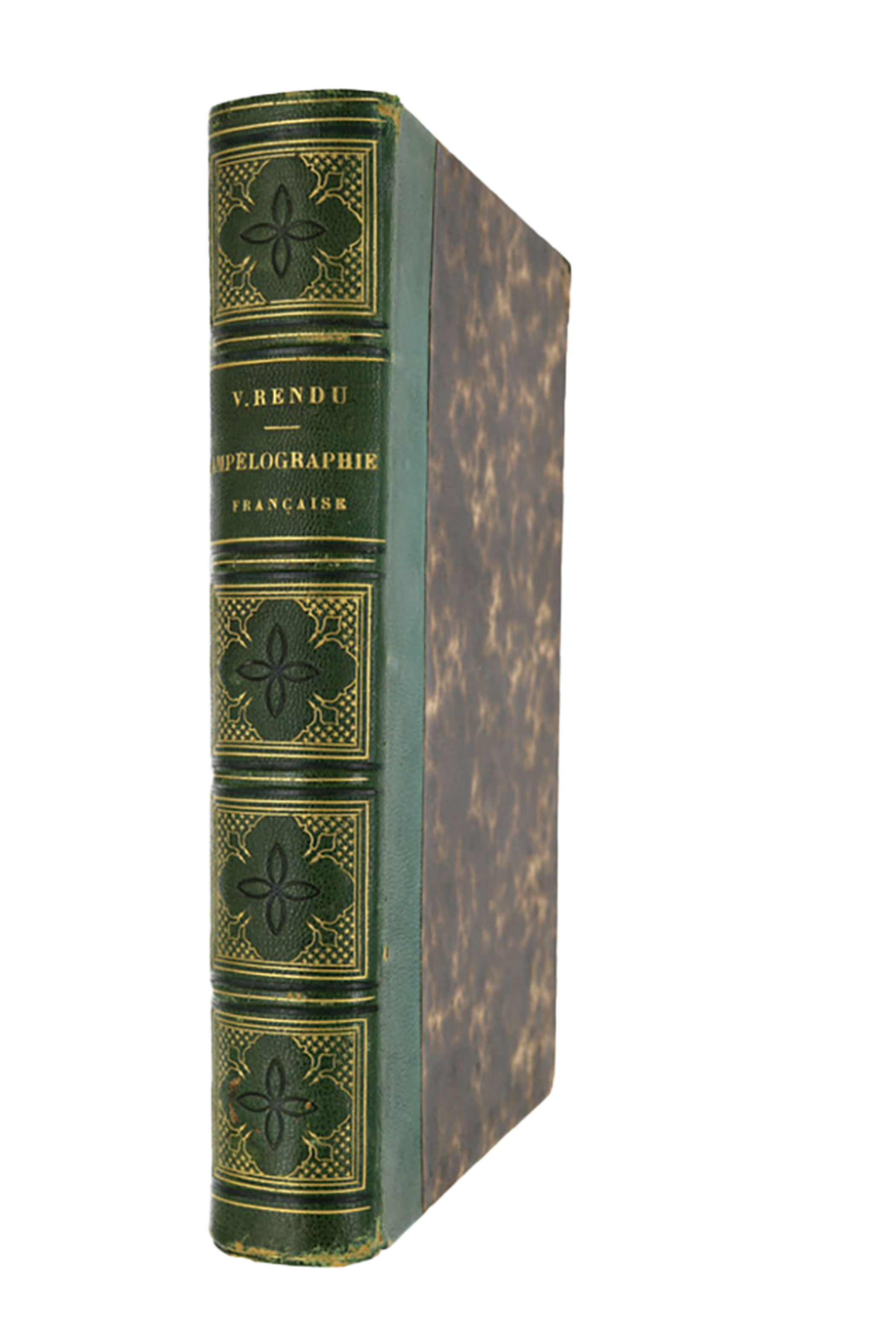 Ampélographie française - 1857