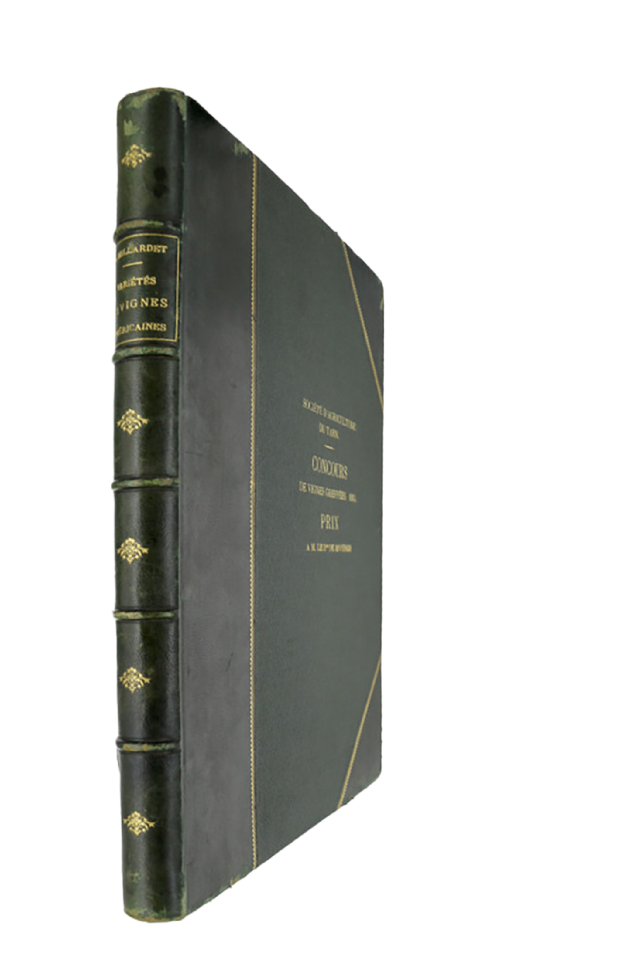 Histoire des principales variétés et espèces de vignes d'origine américaine... - 1885