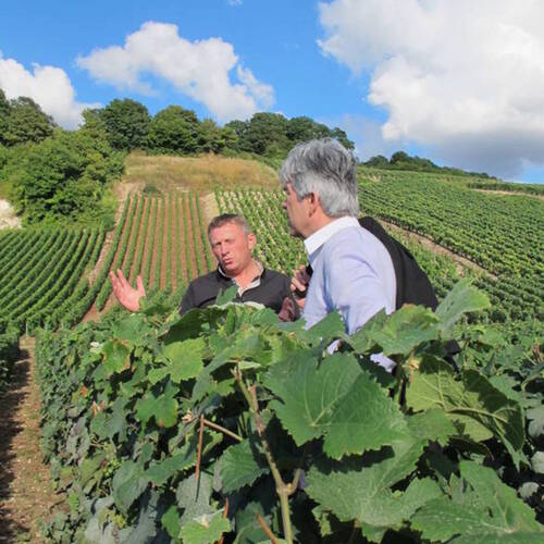 Vignoble Christophe Mignon et Dany Pochon