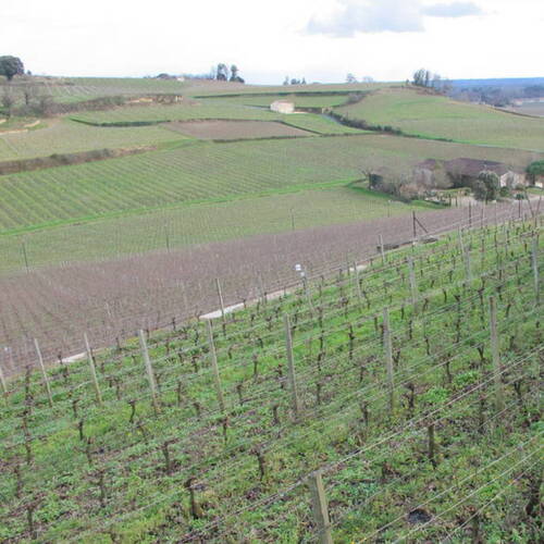 Description de l'image