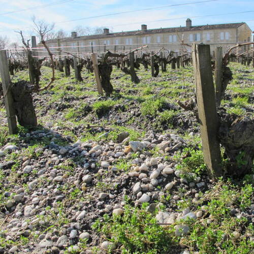 Description de l'image